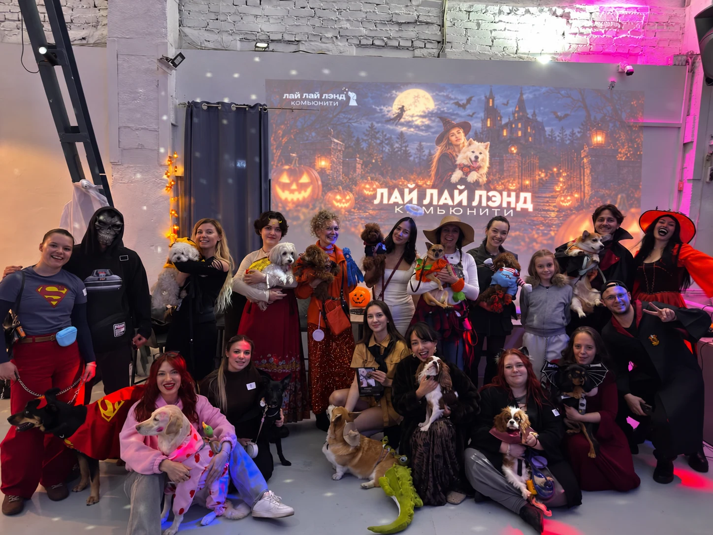 Общее фото участников Lay-Lay Halloween с собаками